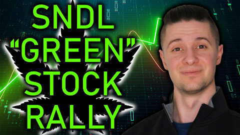 CANNABIS STOCKS RALLY | LIVE NEWS