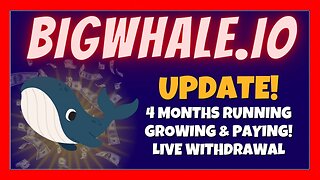 BIGWHALE.IO Update 🐳 Up To 2% In Daily Earnings 🏆 Long Term Opportunity ❓ 🎯 Live Withdrawal⏰