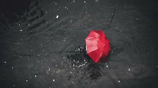 Red umbrella music * Song for the depressing times 🌧🌂