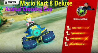 Mario Kart 8 Delux - Animal Crossing Cup