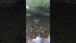 Creek fishing in Ohio for smallmouth