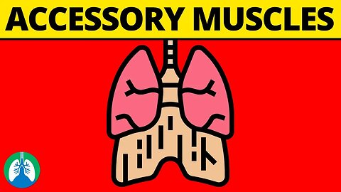 Accessory Muscles of Breathing (Definition and Explanation)