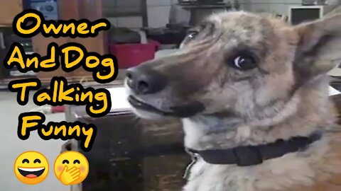 Funny Dog And Owner Talking | Animal Video