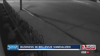 Security Company in Bellevue vandalized