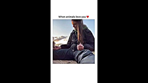 when animals loves human