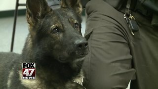 Pot-sniffing police dogs will be phased out because of legalization