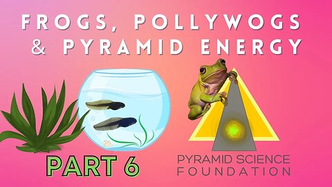 Frogs, Pollywogs, Plants and Pyramid Energy Experiment PART 6