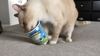Cat really likes Ben and Jerry’s Pistachio Pistachio ice cream