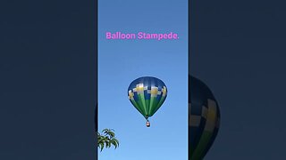 Balloon stampede. Not a Chinese spy balloon-lol #balloon #inventions