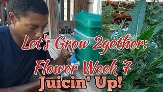 Lets Grow 2gether: Week 7