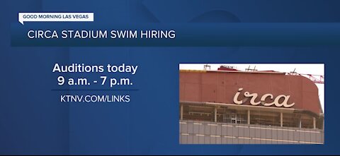 Circa Stadium swim hiring and holding auditions today