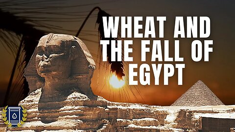 How Wheat Caused the Rise and Fall of Ancient Egypt