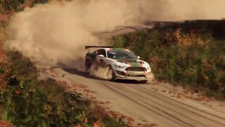 DiRT Rally 2 - Replay - Ford Mustang GT4 at Fury Lake Depart