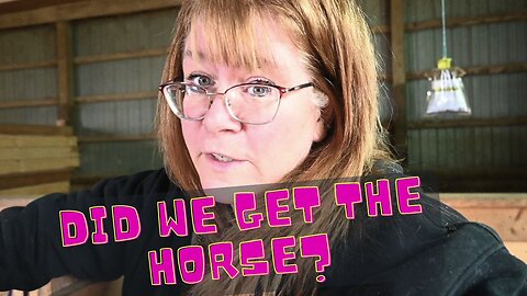 Horse Shopping Update! Did We Get The HORSE