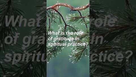 What is the role of gratitude in spiritual practice? #shorts #mindselevate #expandyourmind