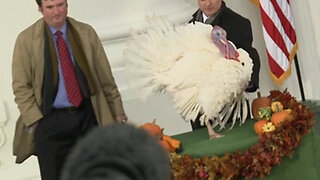 The Weird Roots of the Presidential Turkey Pardon