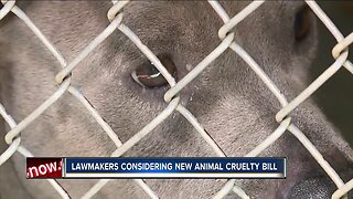 Lawmakers considering new animal cruelty bill