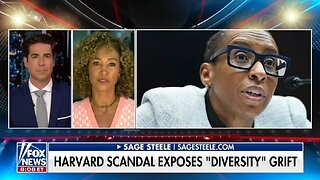 Sage Steele to Al Sharpton: Go Away!