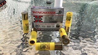 Winchester Super X 2 3/4” 20 Gauge 3/4 Ounce Slug - Breakdown