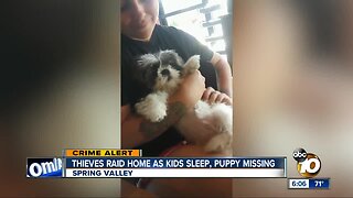 Thieves raid home while kids sleep, puppy missing