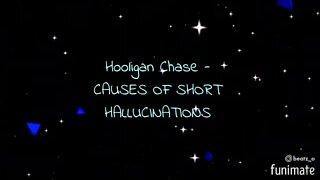 Hooligan Chase - CAUSES OF SHORT HALLUCINATIONS