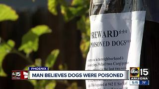 Valley neighborhood on edge after two dogs were poisoned