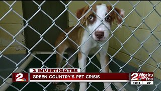 Green Country's pet crisis