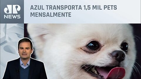 Bruno Meyer: Azul lança serviço de bordo para pets