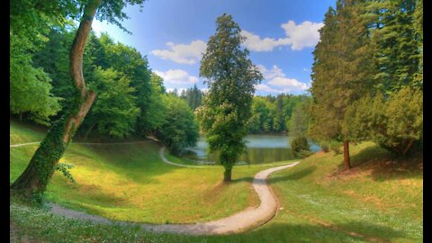 Natural beauty, forest, rest, relaxation.