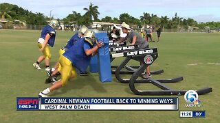 Cardinal Newman Football back to winning ways