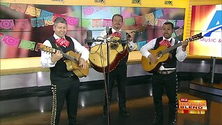 Get in the Cinco de Mayo Spirit with Mariachi Music