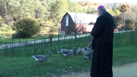 La semilla de cayó a lo largo del camino - Monseñor Jean Marie, snd les habla