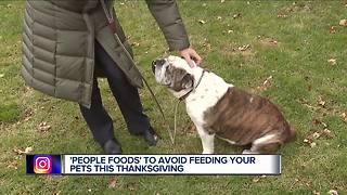 Thanksgiving meals can be dangerous for dogs