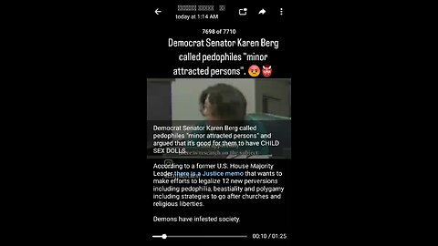 Democrat Karen Berg