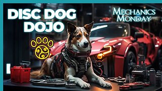 Mechanics Monday at DiscDog Dojo - Episode #147 🐾🔧🇬🇷