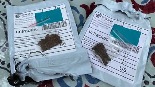 Mystery seeds showing up in Colorado mailboxes