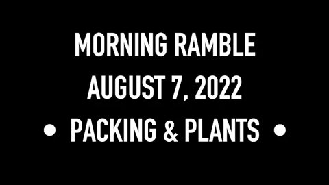 Morning Ramble - 20220807 - Packing & Plants