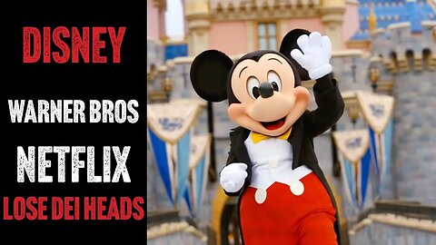 Disney, Warner Bros & Netflix Lose Their Diversity Heads