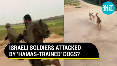 Israeli Soldiers Flee As Dogs 'Chase Troops In Gaza' | Video Goes Viral, Netizens Mock IDF