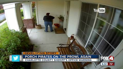 Porch Pirates on the Prowl