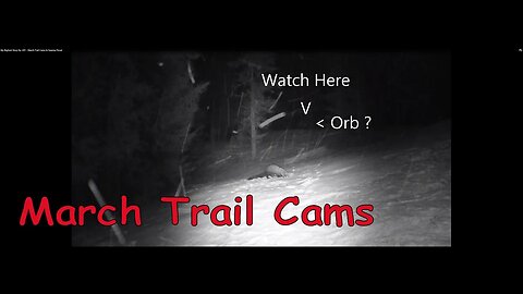 My Bigfoot Story Ep. 241 - March Trail Cams & Swamp Flood