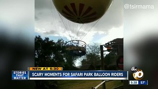 Scary moments for Safari Park Balloon riders