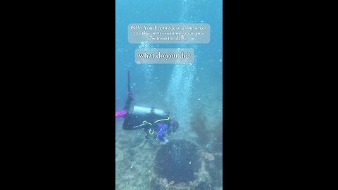 What would you do? Ship wreck scuba diving in Coron, Philippines