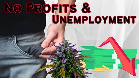 Cannabis Industry Hurting Bad! But Why?