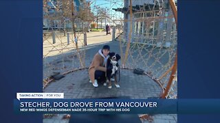 Red Wings defenseman Troy Stecher drove with his dog from Vancouver to Detroit