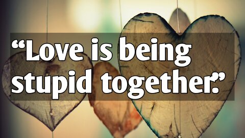 Love is being stupid together