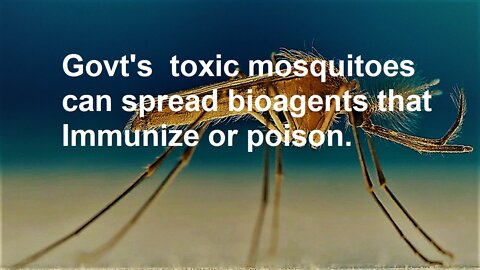 Govt's toxic mosquitoes can spread bioagents that can immunize or poison