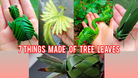 7 things made of tree leaves