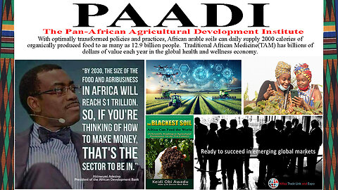 Pan-African Agricultural Development Institute (PAADI)