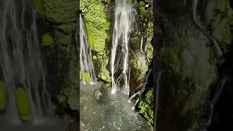 Relaxation Short Videos with Beauty of Nature #shorts #short #shortfeed #nature 20